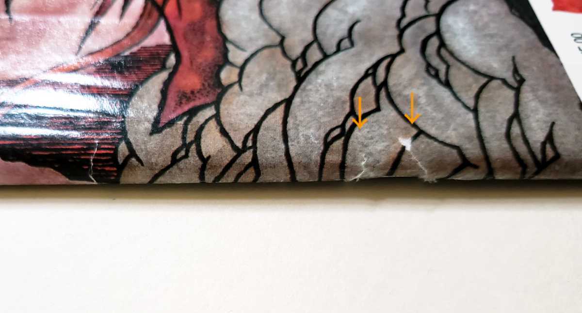 PUSHEAD パスヘッド 特集洋雑誌 JUXTAPOZ COCOBAT ココバット