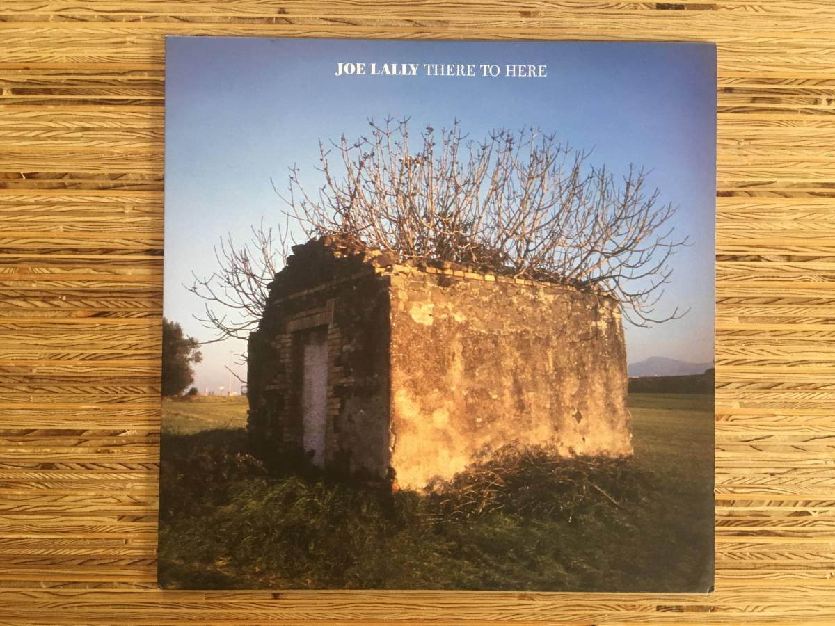 【100%新品，セール】 Joe Lally There To Here LP Dischord Records FUGAZI / Minor Threat / Ian MacKaye / The Evens / Bad Religion / Black Flag(一般)｜売買されたオークション情報、yahooの商品情報をアーカイブ公開 - オークファン 一般
