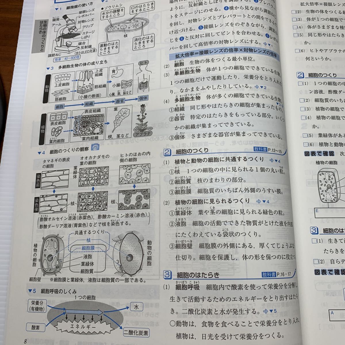 最新版！AR機能搭載！【Keyワーク: 理科中2年】進学塾用人気教材！定期 