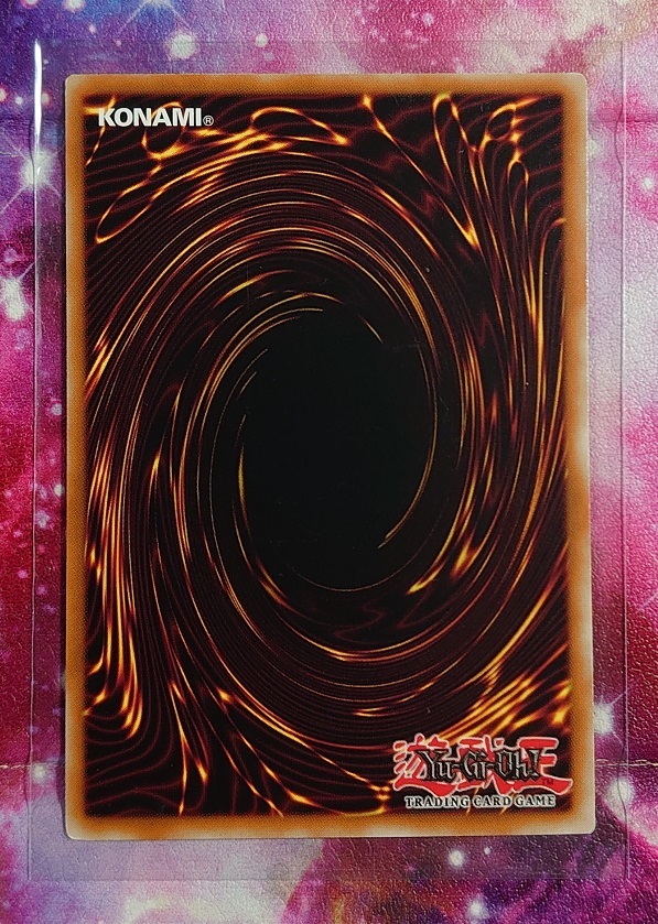 遊戯王 EU版 英語 1st ハーピィズペット仔竜 レリーフ PSA9 遊戯王 EU