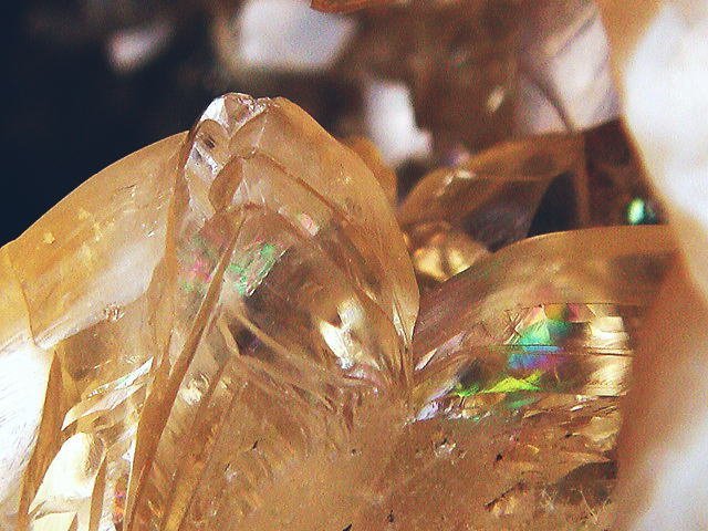 化石 カルサイトの貝 過去最高級！鉱物 原石 ミネラル 鉱石 観賞石 銘 