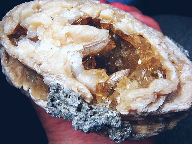 化石 カルサイトの貝 過去最高級！鉱物 原石 ミネラル 鉱石 観賞石 銘