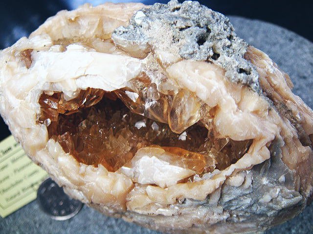 化石 カルサイトの貝 過去最高級！鉱物 原石 ミネラル 鉱石 観賞石 銘
