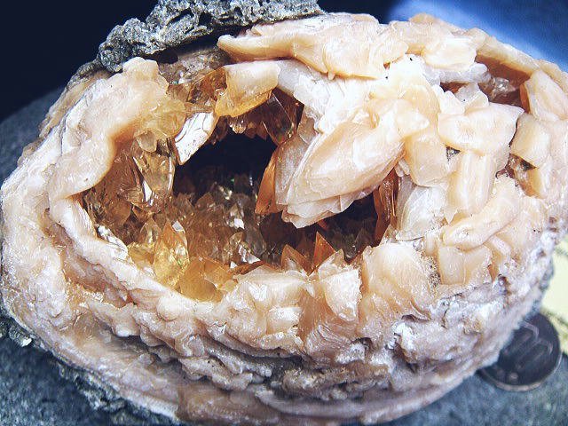 化石 カルサイトの貝 過去最高級！鉱物 原石 ミネラル 鉱石 観賞石 銘