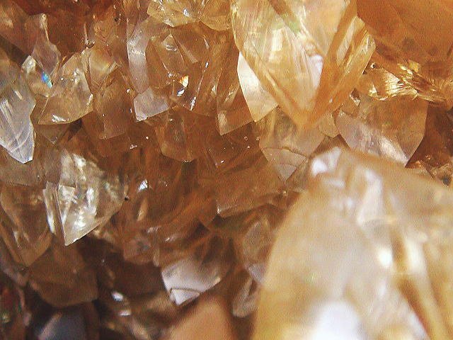 化石 カルサイトの貝 過去最高級！鉱物 原石 ミネラル 鉱石 観賞石 銘 