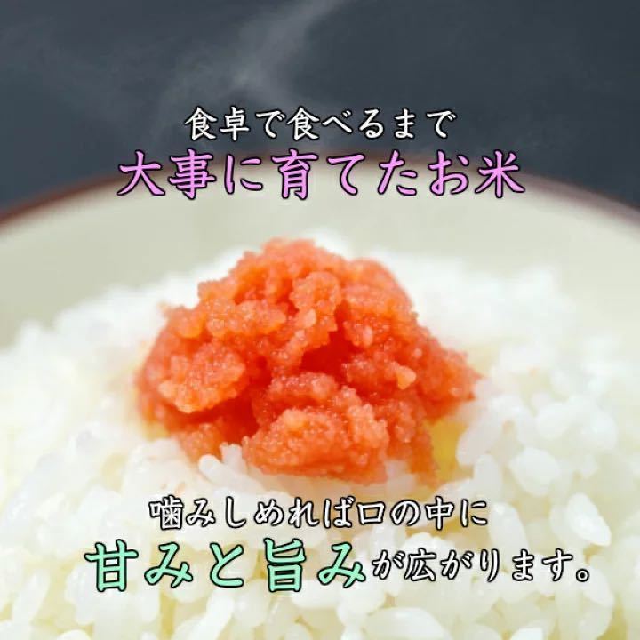 コシヒカリ 玄米 福島 30kg 30Kg」の人気商品一覧 | 安い商品を通販