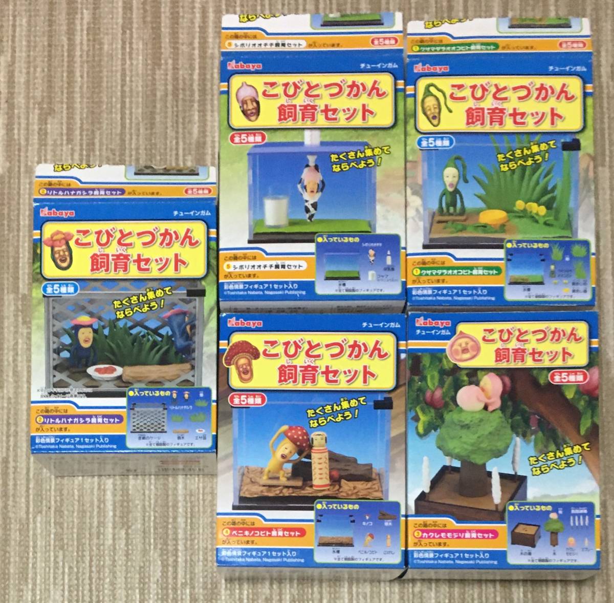 こびとづかん2 こびとづかん飼育セット 全5種 開封済み箱付 カバヤ(食