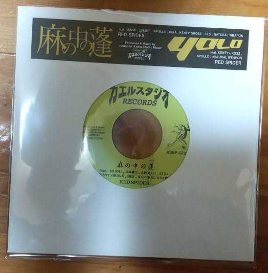 u1067819410.2