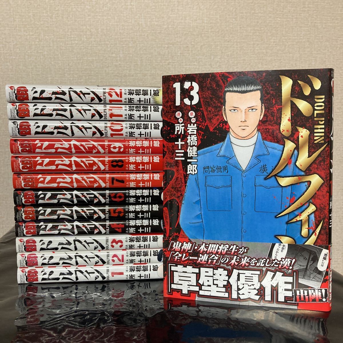 ☆60サイズ発送☆全巻セット☆ドルフィン☆1巻-13巻 所十三 岩橋健一郎 