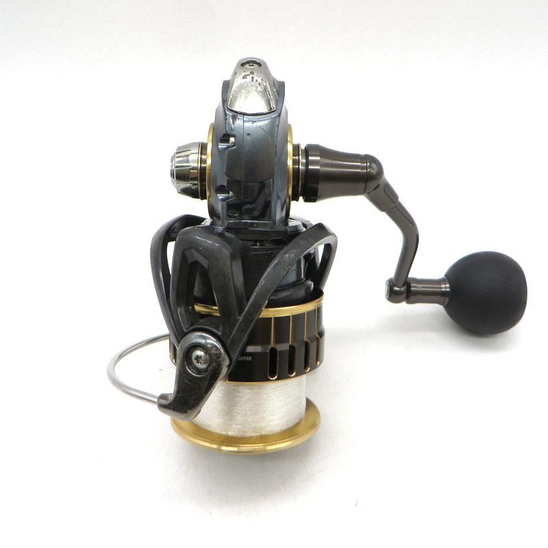 ダイワ(DAIWA) 17セオリー THEORY 4000 DAIWA（ダイワ） (限定