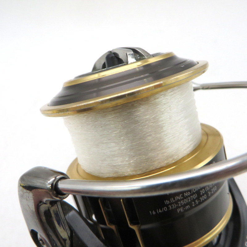 ダイワ(DAIWA) 17セオリー THEORY 4000 DAIWA（ダイワ） (限定