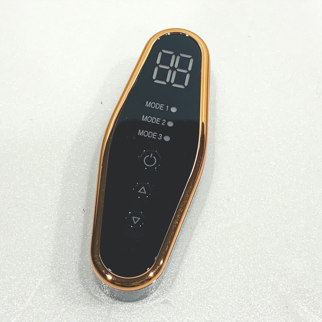 76】1円～ 保坂流 フットエナジー PRD-FTE-01 美品 USBアダプター