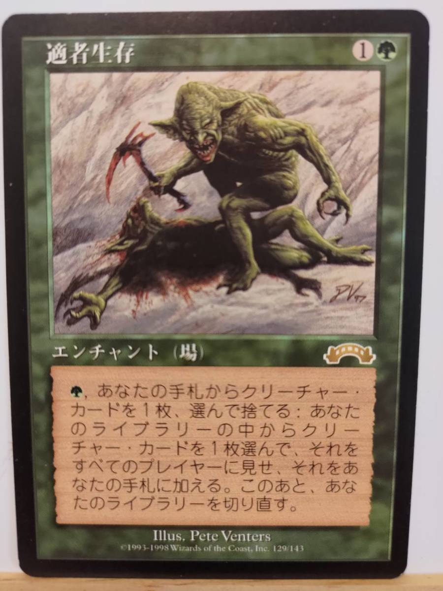 低価格 ◇MTG 適者生存/Survival of the Fittest EXO 日本語1枚