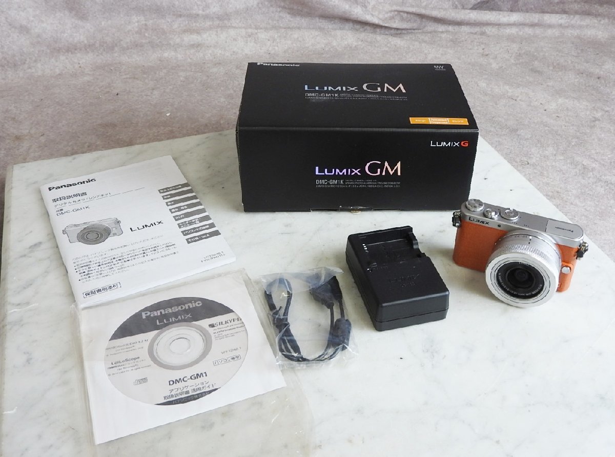 Panasonic DMC−GM DMC-GM1K-D ジャンク品 LUMIX gm1 ミラーレス一眼 