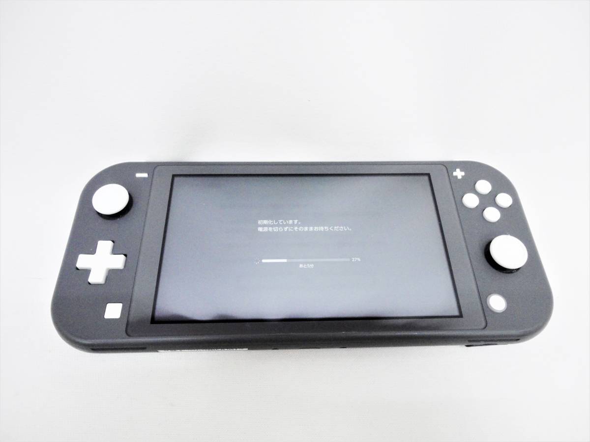 ジャンク NINTENDO SWITCH Lite グレー 本体 ニンテンドー スイッチ