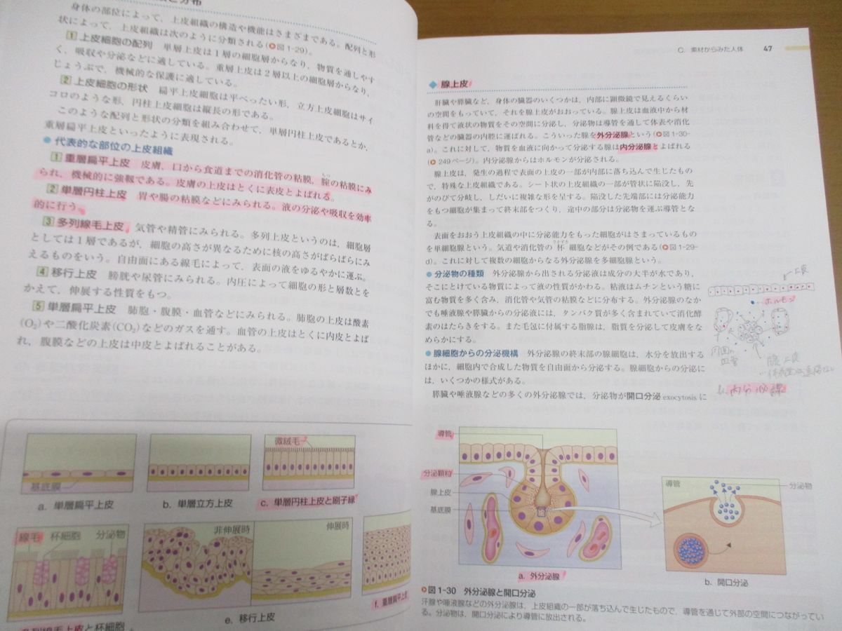 □01)【同梱不可・最新版】系統看護学講座 まとめ売り約30冊大量セット