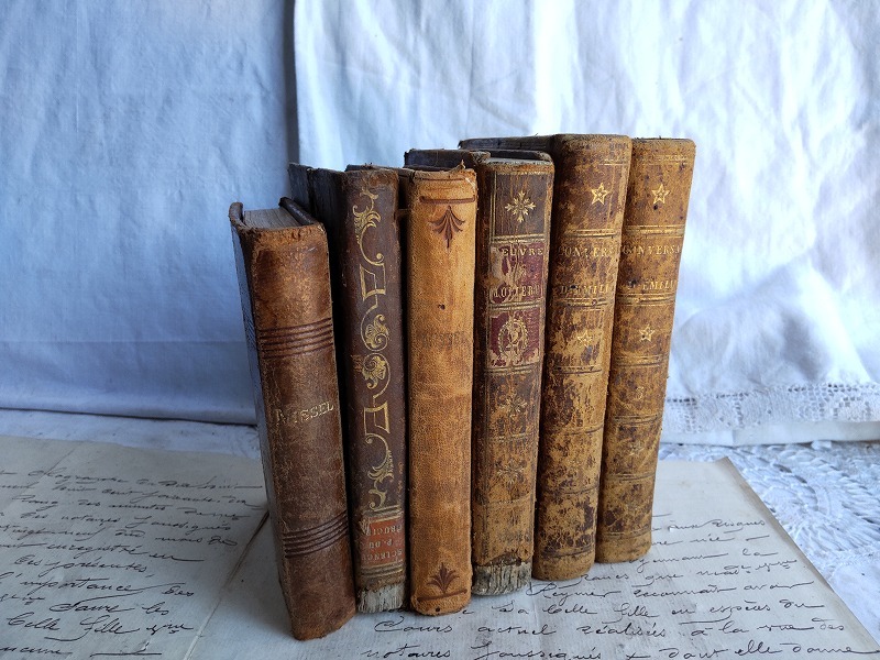 フランスアンティーク 革 洋書 古本ブック 聖書 6冊セット 19世紀