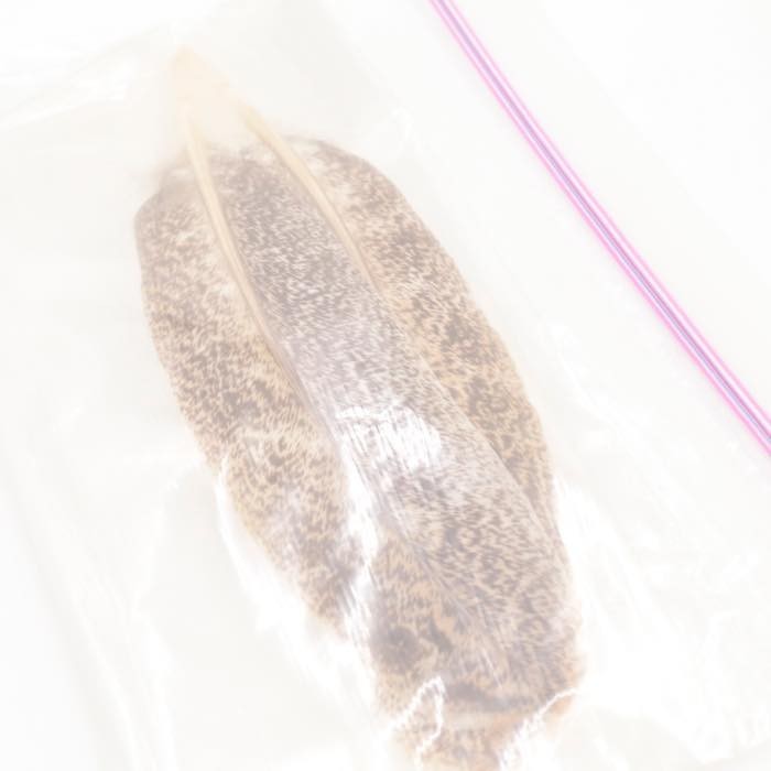 Whiting 等 フライ用品 おまとめ セット 釣 ルアー mc01050502 Whiting