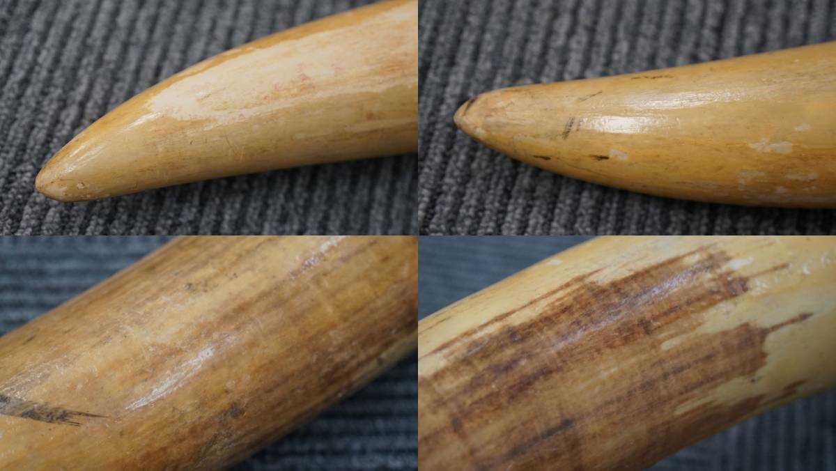 象牙風 置物 一本物 オブジェ 一本牙 インテリア 彫り物 樹脂製 彫刻 