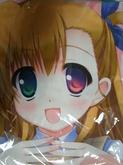 コミケ79 魔法新撰組 ヴィヴィオ アインハルト抱き枕カバー コミック アニメグッズ 売買されたオークション情報 Yahooの商品情報をアーカイブ公開 オークファン Aucfan Com