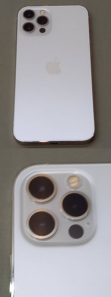iPhone 0 Card SIM for Apple SIMフリー - 公式通販 com: Sim Flex 価格.com Data | グリーン