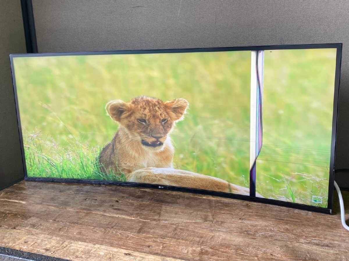 LG 39.7型 5K2K曲面型ディスプレイ (40WP95C-W) 【公式通販】