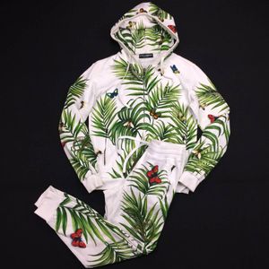 激レア Dolce&Gabbana パーカー 出あい くま ベア アニマル パーカー