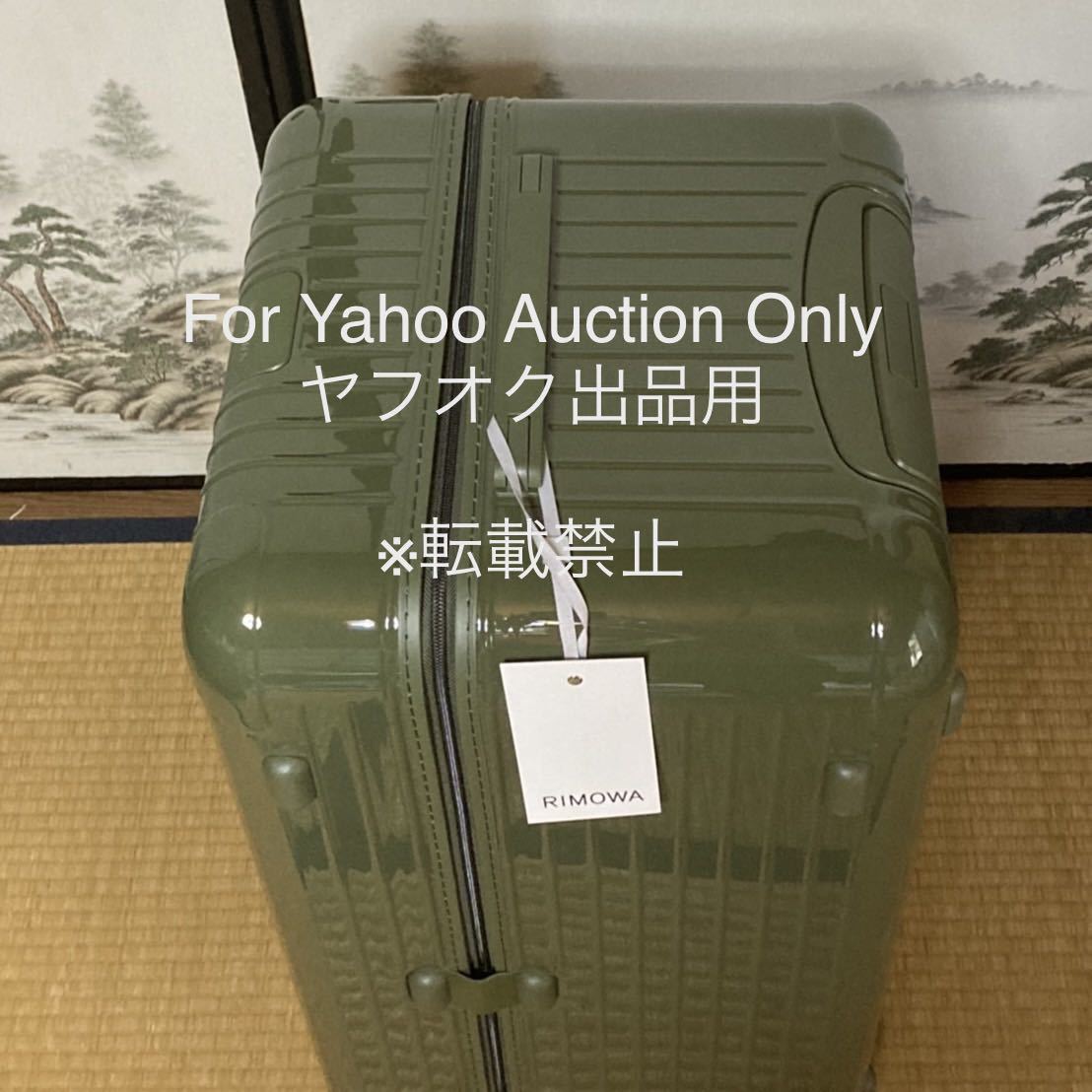 RIMOWA リモワ Essential Trunk Plus 101L エッセンシャル カクタス 限定