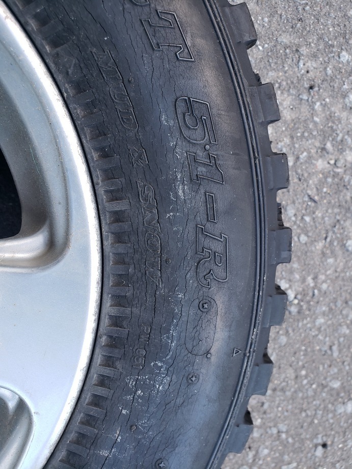 スパイクタイヤ ホイール付 ダンロップ SP-SPORT 51-R 165/80 R13(競技 