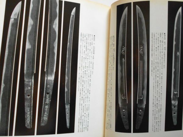 m36479036624_1