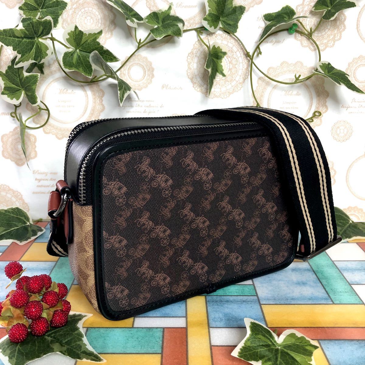 COACH コーチ ショルダーバッグ ブラウン 馬車柄 ダブルファスナー 
