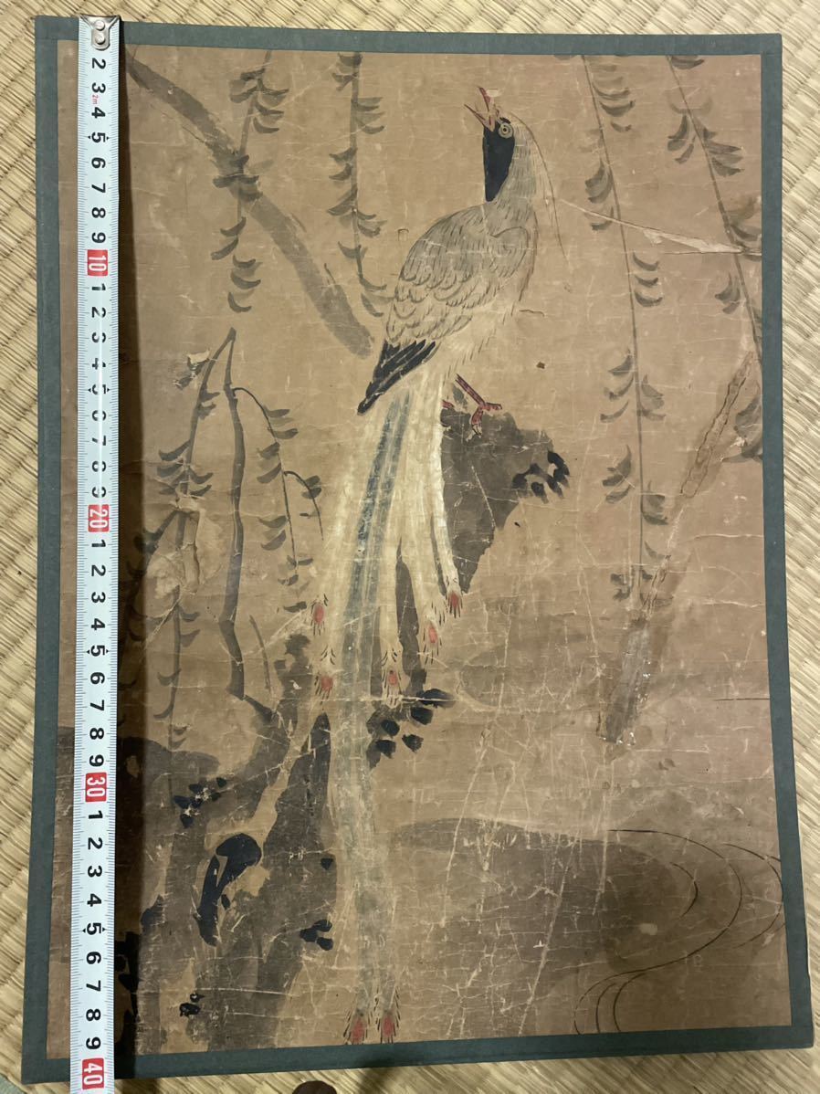 肉筆保証 中国書画 掛軸 掛け軸 中国美術 人気・おすすめ｜安定人気