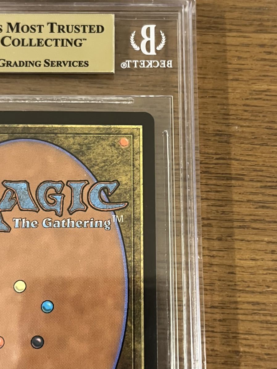 MTG ぶどう弾 日本語版エッチングFOIL PSA10 STA MTG ぶどう弾