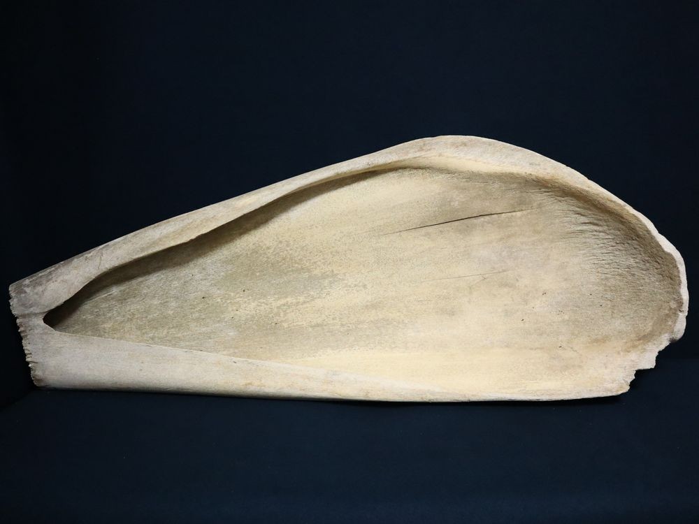 マッコウクジラ 鯨骨 抹香鯨 骨 重さ約10.2kg(検索 ボーンカービング アクセサリー 鯨歯 牙 海獣 彫刻 材料 根付 印材 フィッシュフック マッコウクジラ 鯨骨 大阪湾の\\"迷いクジラ\\" マッコウ &frasl; Free