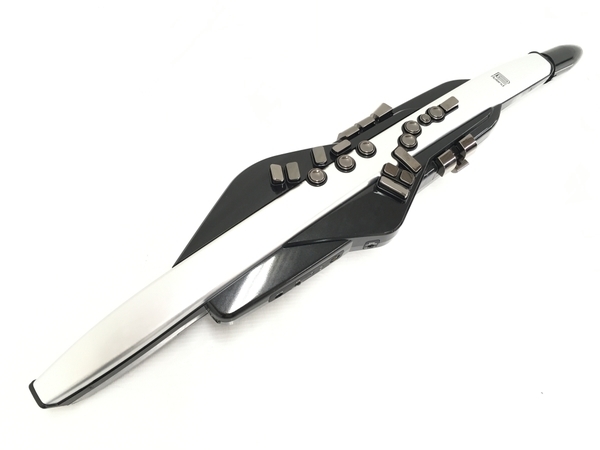 Roland AE-30 Aerophone Pro エアロフォン プロ デジタル 楽器 