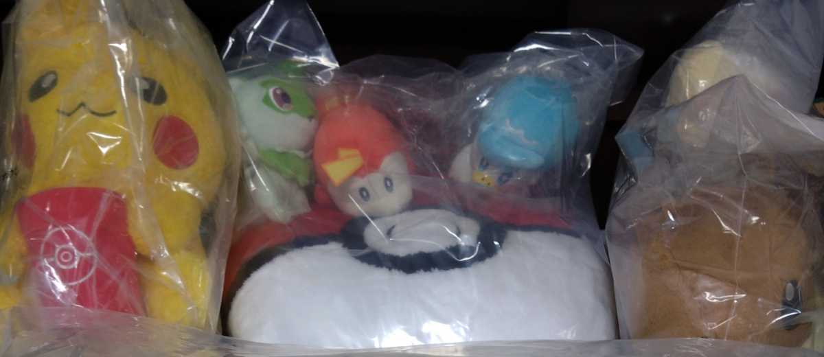 ポケットモンスター スカーレット・バイオレット』発売記念くじ｜一番