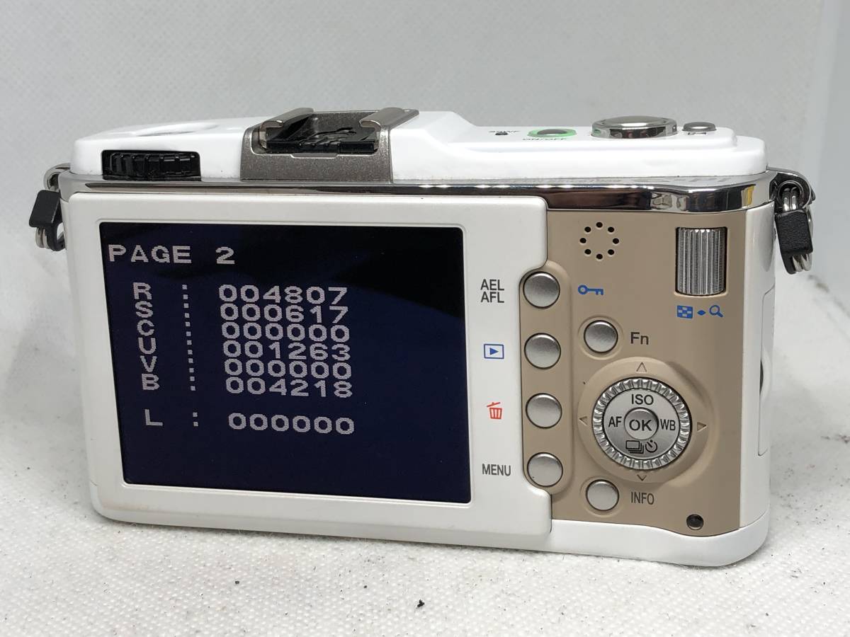 訳あり品】OLYMPUS PEN E-P1 ボディ ショット数1回！新品充電器 楽天