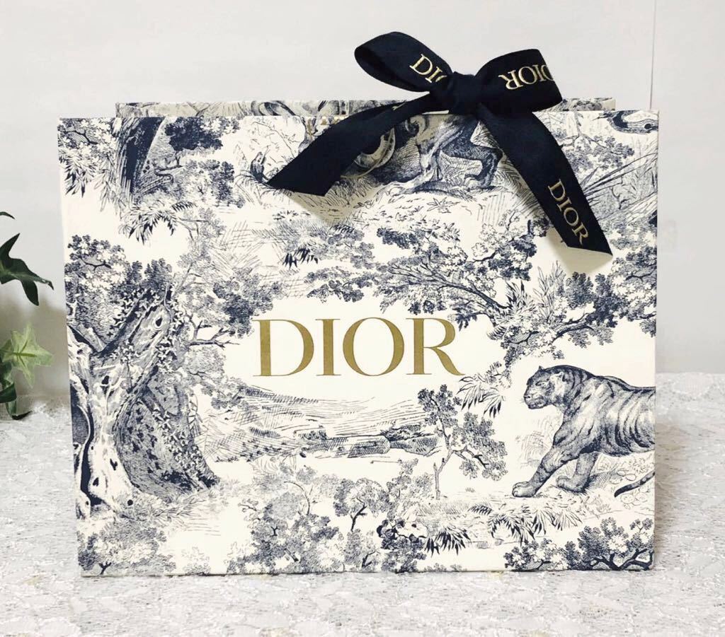 クリスチャン・ディオール「Christian Dior」限定ショッパー (1441
