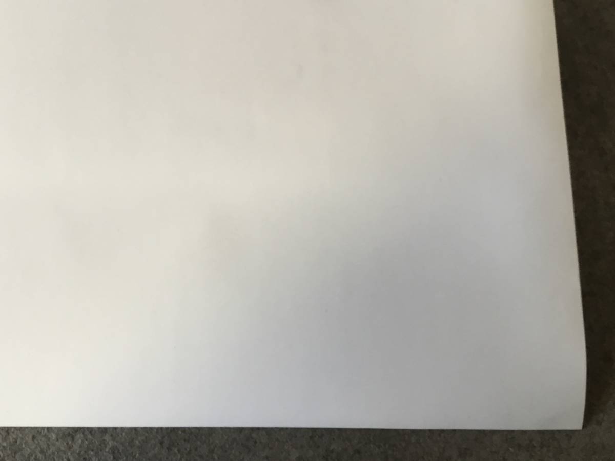 【3M ダイノックシート】特殊シート PS-959EX ★屋外耐候★ ホワイト（無地）2.2m×1.2m　★発送は月〜金★