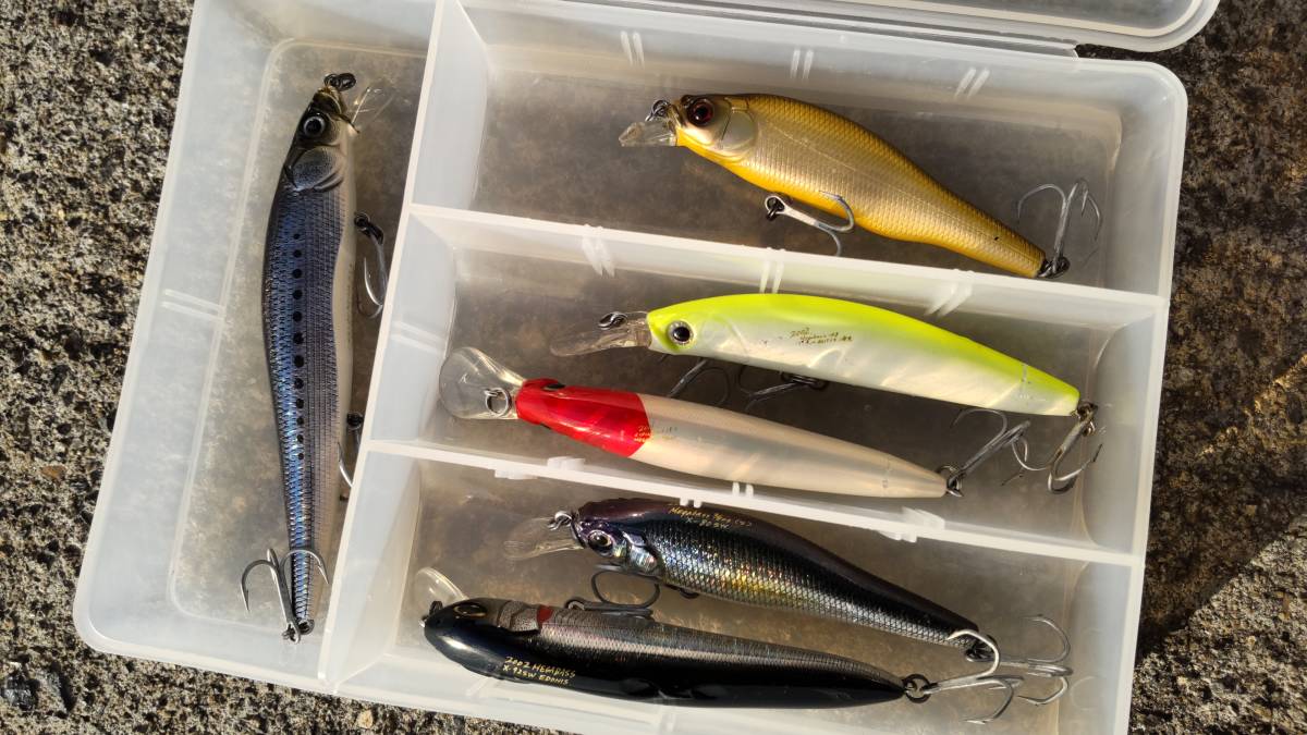 海用ルアー シーバス メガバス まとめてセット 初心者ルアー