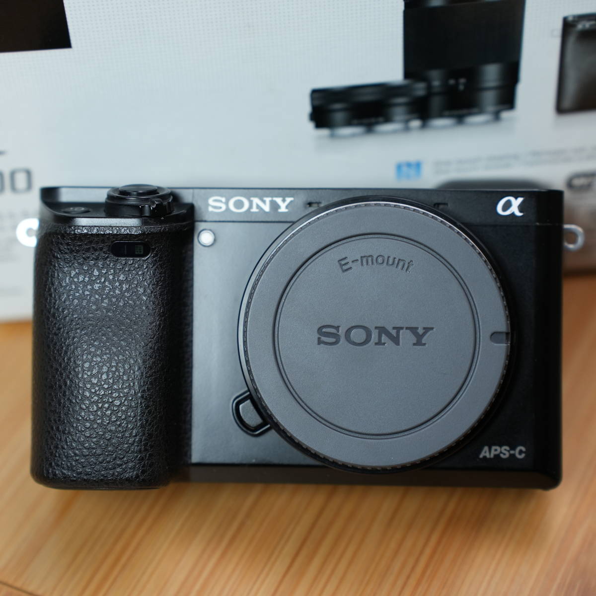 ソニー a6000 本体 【公式通販】