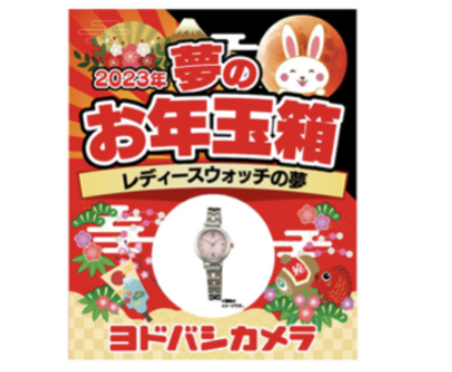 ヨドバシカメラ 夢のお年玉箱 2023 レディースウォッチの夢 【公式通販】