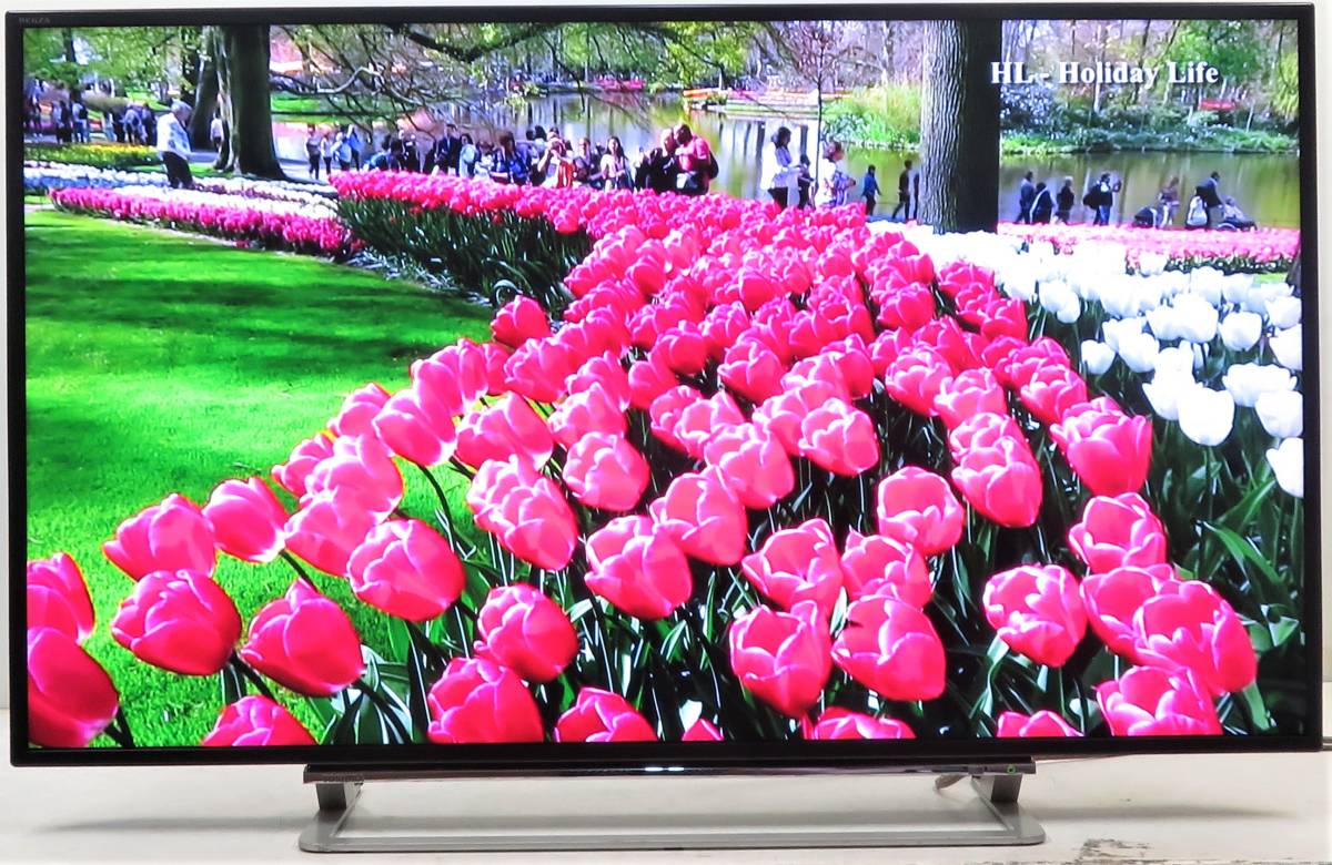 東芝 TOSHIBA 50Z20X 液晶カラーテレビ 2016年製 50インチ 東芝