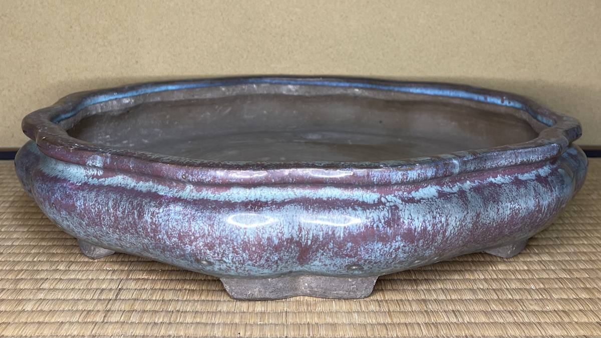 Yahoo!オークション - 未使用 阪本健 y鉢 大鉢 浅鉢 陶器鉢 検) invisi