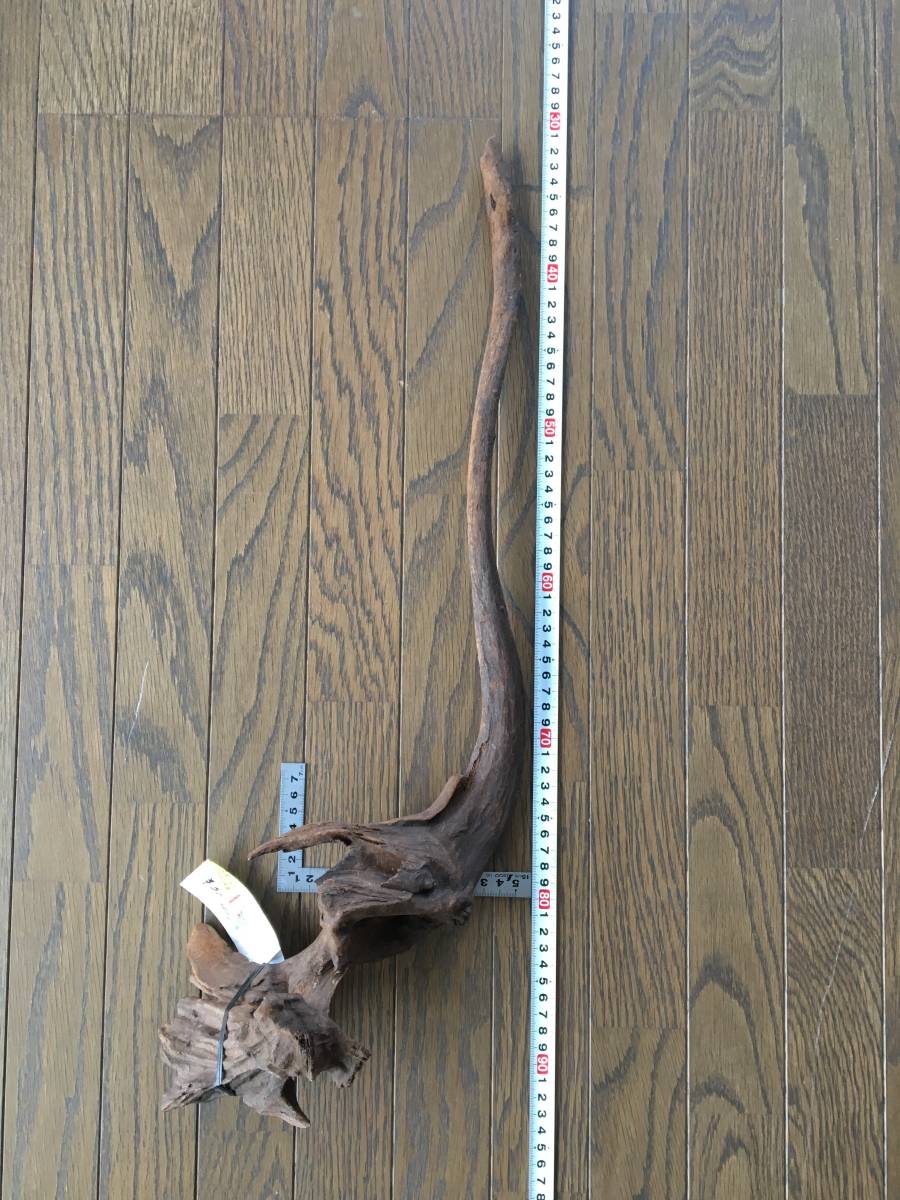 ADA horn wood ホーンウッド 六本 流木 ADA ホーンウッド 流木 流木の