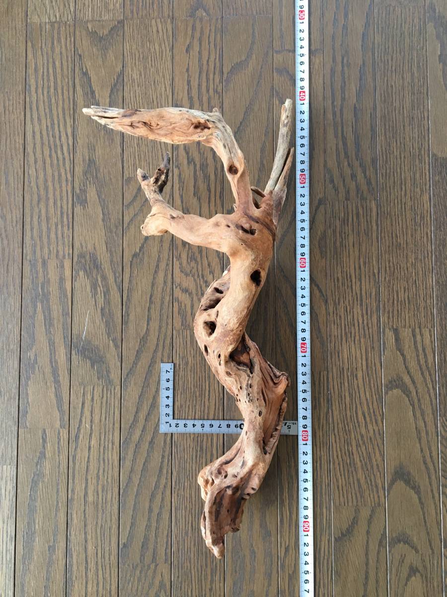 ADA horn wood ホーンウッド 六本 流木 ADA ホーンウッド 流木 流木の