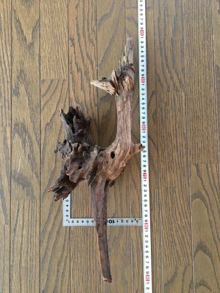 ADA horn wood ホーンウッド 六本 流木 ADA ホーンウッド 流木 流木の