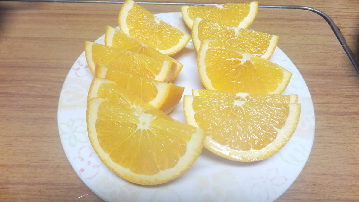送料込み◆和歌山◆きれいめ◆国産ネーブルオレンジ◆約７キロ×２箱ひとくくり◆◆有機肥料◆大きさ色々