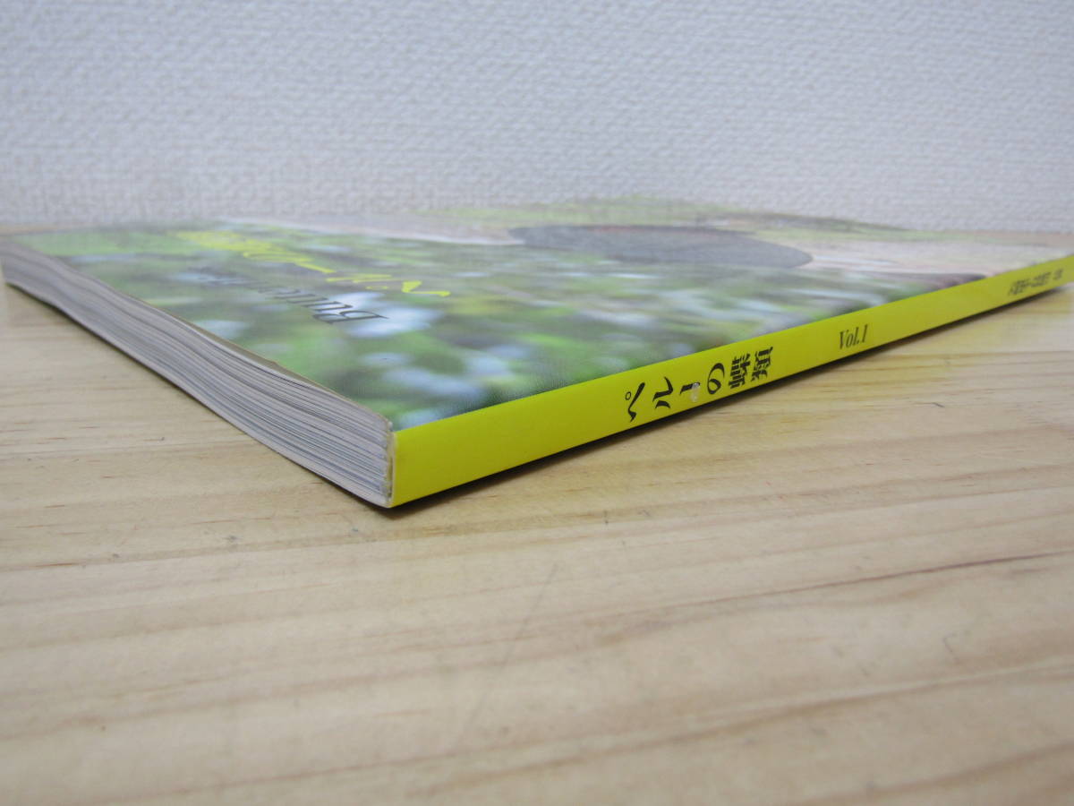 S534） ペルーの蝶類 vol.1 矢崎康幸・有賀俊司 (昆虫)｜売買された