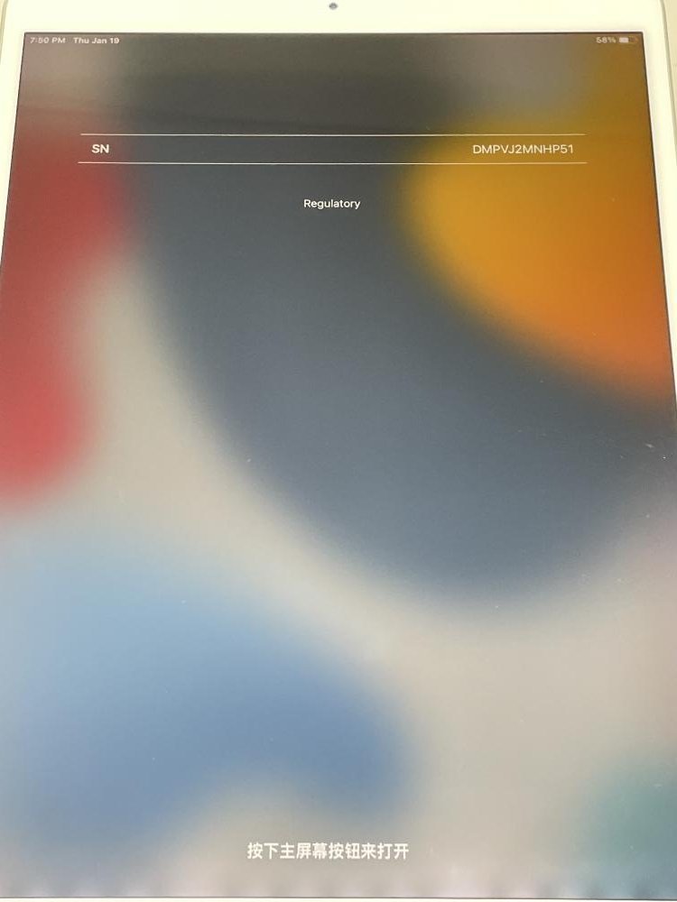 239【ジャンク品】 iPad PRO 10.5インチ 256GB Wi-Fi シルバー 【公式